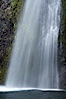 Horsetail Falls drops 176 feet just a few yards off the Columbia Gorge Scenic Highway. Horsetail Falls, Columbia River Gorge National Scenic Area, Oregon, USA. Image #19318