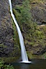 Horsetail Falls drops 176 feet just a few yards off the Columbia Gorge Scenic Highway. Horsetail Falls, Columbia River Gorge National Scenic Area, Oregon, USA. Image #19319