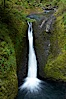 Columbia River Gorge National Scenic Area, Oregon, USA. Image #19321