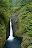 Columbia River Gorge National Scenic Area, Oregon, USA. Image #19323
