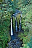 Triple Falls, in the upper part of Oneonta Gorge, fall 130 feet through a lush, beautiful temperate rainforest. Triple Falls, Columbia River Gorge National Scenic Area, Oregon, USA. Image #19327