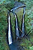 Triple Falls, in the upper part of Oneonta Gorge, fall 130 feet through a lush, beautiful temperate rainforest. Triple Falls, Columbia River Gorge National Scenic Area, Oregon, USA. Image #19329