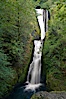 Bridal Veil Falls, a 140 foot fall in the Columbia River Gorge, is not to be confused with the more famous Bridalveil Falls in Yosemite National Park. Bridal Veil Falls, Columbia River Gorge National Scenic Area, Oregon, USA. Image #19331