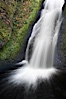 Bridal Veil Falls, a 140 foot fall in the Columbia River Gorge, is not to be confused with the more famous Bridalveil Falls in Yosemite National Park. Bridal Veil Falls, Columbia River Gorge National Scenic Area, Oregon, USA. Image #19332