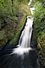 Bridal Veil Falls, a 140 foot fall in the Columbia River Gorge, is not to be confused with the more famous Bridalveil Falls in Yosemite National Park. Bridal Veil Falls, Columbia River Gorge National Scenic Area, Oregon, USA. Image #19334