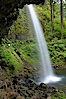 Ponytail Falls, where Horsetail Creeks drops 100 feet over an overhang below which hikers can walk. Ponytail Falls, Columbia River Gorge National Scenic Area, Oregon, USA. Image #19337