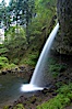 Ponytail Falls, where Horsetail Creeks drops 100 feet over an overhang below which hikers can walk. Ponytail Falls, Columbia River Gorge National Scenic Area, Oregon, USA. Image #19338