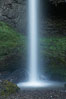 Latourelle Falls, in Guy W. Talbot State Park, drops 249 feet through a lush forest near the Columbia River. Columbia River Gorge National Scenic Area, Oregon, USA. Image #19347