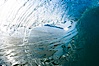 Breaking wave, early morning surf. Ponto, Carlsbad, California, USA. Image #19404
