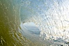 Breaking wave, early morning surf. Ponto, Carlsbad, California, USA. Image #19410