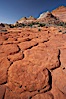 Geometric joints and cracks form in eroding sandstone. North Coyote Buttes, Paria Canyon-Vermilion Cliffs Wilderness, Arizona, USA. Image #20610