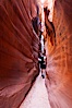 A hiker walking through the Wire Pass narrows.  This exceedingly narrow slot canyon, in some places only two feet wide, is formed by water erosion which cuts slots deep into the surrounding sandstone plateau. Wire Pass, Paria Canyon-Vermilion Cliffs Wilderness, Arizona, USA. Image #20715