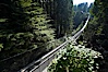 Capilano Suspension Bridge, 140 m (450 ft) long and hanging 70 m (230 ft) above the Capilano River.  The two pre-stressed steel cables supporting the bridge are each capable of supporting 45,000 kgs and together can hold about 1300 people. Capilano Suspension Bridge, Vancouver, British Columbia, Canada. Image #21143