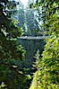 Capilano Suspension Bridge, 140 m (450 ft) long and hanging 70 m (230 ft) above the Capilano River.  The two pre-stressed steel cables supporting the bridge are each capable of supporting 45,000 kgs and together can hold about 1300 people. Capilano Suspension Bridge, Vancouver, British Columbia, Canada. Image #21144