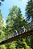 Capilano Suspension Bridge, 140 m (450 ft) long and hanging 70 m (230 ft) above the Capilano River.  The two pre-stressed steel cables supporting the bridge are each capable of supporting 45,000 kgs and together can hold about 1300 people. Capilano Suspension Bridge, Vancouver, British Columbia, Canada. Image #21146