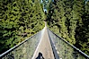Capilano Suspension Bridge, 140 m (450 ft) long and hanging 70 m (230 ft) above the Capilano River.  The two pre-stressed steel cables supporting the bridge are each capable of supporting 45,000 kgs and together can hold about 1300 people. Capilano Suspension Bridge, Vancouver, British Columbia, Canada. Image #21147