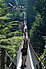 Capilano Suspension Bridge, 140 m (450 ft) long and hanging 70 m (230 ft) above the Capilano River.  The two pre-stressed steel cables supporting the bridge are each capable of supporting 45,000 kgs and together can hold about 1300 people. Capilano Suspension Bridge, Vancouver, British Columbia, Canada. Image #21151