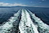 Ferry wake, enroute from Horseshoe Bay to Nanaimo, Vancouver Island, crossing the Strait of Georgia. British Columbia, Canada. Image #21163