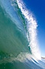 Green room. Ponto, Carlsbad, California, USA. Image #21788
