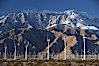 Wind turbines and Mount San Jacinto, rise above the flat floor of the San Gorgonio Pass near Palm Springs, provide electricity to Palm Springs and the Coachella Valley. San Gorgonio Pass, Palm Springs, California, USA. Image #22241