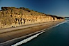 Torrey Pines seacliffs, rising up to 300 feet above the ocean, stretch from Del Mar to La Jolla.  On the mesa atop the bluffs are found Torrey pine trees, one of the rare species of pines in the world. Torrey Pines State Reserve, San Diego, California, USA. Image #22285