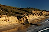 Torrey Pines seacliffs, rising up to 300 feet above the ocean, stretch from Del Mar to La Jolla.  On the mesa atop the bluffs are found Torrey pine trees, one of the rare species of pines in the world. Torrey Pines State Reserve, San Diego, California, USA. Image #22311
