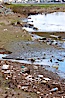Pollution accumulates in the Tijuana River Valley following winter storms which flush the trash from Tijuana in Mexico across the border into the United States. Imperial Beach, San Diego, California, USA. Image #22545