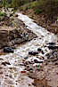 Pollution accumulates in the Tijuana River Valley following winter storms which flush the trash from Tijuana in Mexico across the border into the United States. Imperial Beach, San Diego, California, USA. Image #22551