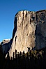 El Capitan eastern face, sunrise. El Capitan, Yosemite National Park, California, USA. Image #22745