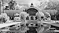 The Botanical Building in Balboa Park, San Diego. The Botanical Building, at 250 feet long by 75 feet wide and 60 feet tall, was the largest wood lath structure in the world when it was built in 1915 for the Panama-California Exposition. The Botanical Building, located on the Prado, west of the Museum of Art, contains about 2,100 permanent tropical plants along with changing seasonal flowers. The Lily Pond, just south of the Botanical Building, is an eloquent example of the use of reflecting pools to enhance architecture. The 193 by 43 foot pond and smaller companion pool were originally referred to as Las Lagunas de las Flores (The Lakes of the Flowers) and were designed as aquatic gardens. The pools contain exotic water lilies and lotus which bloom spring through fall. Balboa Park, San Diego, California, USA. Image #23103