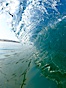 Cardiff morning surf, breaking wave. Cardiff by the Sea, California, USA. Image #23297