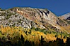 The Hunchback, a peak rising above the South Fork of Bishop Creek Canyon, with yellow and orange aspen trees changing to their fall colors. Bishop Creek Canyon, Sierra Nevada Mountains, Bishop, California, USA. Image #23328