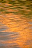 Orange aspen trees are reflected in the smooth calm water of North Lake. Bishop Creek Canyon, Sierra Nevada Mountains, Bishop, California, USA. Image #23331