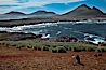 Steeple Jason Island, striated caracara in the foreground, southwestern exposure, looking south pass the isthmus toward the southern half of the island.  Steeple Jason is one of the remote Jason Group of Islands in the West Falklands.  Uninhabited, the island is spectacular both for its rugged scenery and its enormous breeding colony of black-browed albatross.  Steeple Jason Island is now owned and administered by the Wildlife Conservation Society. Steeple Jason Island, Falkland Islands, United Kingdom. Image #24161