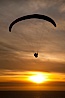 Paraglider soaring at Torrey Pines Gliderport, sunset, flying over the Pacific Ocean. La Jolla, California, USA. Image #24287
