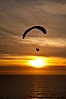 Paraglider soaring at Torrey Pines Gliderport, sunset, flying over the Pacific Ocean. La Jolla, California, USA. Image #24293