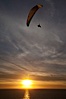 Paraglider soaring at Torrey Pines Gliderport, sunset, flying over the Pacific Ocean. La Jolla, California, USA. Image #24294