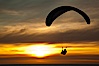 Paraglider soaring at Torrey Pines Gliderport, sunset, flying over the Pacific Ocean. La Jolla, California, USA. Image #24295