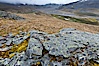 Grassy windy highlands and rocks, overlooking alluvial floodplain formed by glacier runoff near Stromness Bay. Stromness Harbour, South Georgia Island. Image #24584