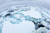 Pack ice and brash ice fills the Weddell Sea, near the Antarctic Peninsula.  This pack ice is a combination of broken pieces of icebergs, sea ice that has formed on the ocean. Southern Ocean. Image #24791