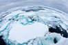 Pack ice and brash ice fills the Weddell Sea, near the Antarctic Peninsula.  This pack ice is a combination of broken pieces of icebergs, sea ice that has formed on the ocean. Southern Ocean. Image #24838