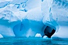 Antarctic icebergs, sculpted by ocean tides into fantastic shapes. Cierva Cove, Antarctic Peninsula, Antarctica. Image #25502