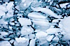 Brash ice floats on cold, dark Antarctic waters. Cierva Cove, Antarctic Peninsula, Antarctica. Image #25532