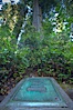 Commemoration plaque in Lady Bird Johnson Grove, marking the place where President Richard Nixon dedicated this coastal redwood grove to Lady Bird Johnson, an environmental activist and former first lady. Redwood National Park, California, USA. Image #25808