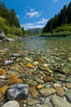 Smith River, the last major free flowing river in California.  Trees include the coast redwood, western hemlock, Sitka spruce, grand fir and Douglas fir. Jedediah Smith State Park, USA. Image #25851