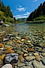 Smith River, the last major free flowing river in California.  Trees include the coast redwood, western hemlock, Sitka spruce, grand fir and Douglas fir. Jedediah Smith State Park, California, USA. Image #25851