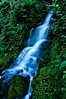 Small waterfall near The Chateau at Oregon Caves National Monument. Oregon Caves National Monument, Oregon, USA. Image #25855