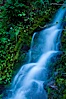 Small waterfall near The Chateau at Oregon Caves National Monument. Oregon Caves National Monument, Oregon, USA. Image #25856
