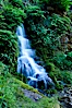 Small waterfall near The Chateau at Oregon Caves National Monument. Oregon Caves National Monument, Oregon, USA. Image #25859