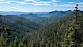 Mountains and trees, view overlooking Oregon Caves National Monument. Oregon Caves National Monument, Oregon, USA. Image #25866